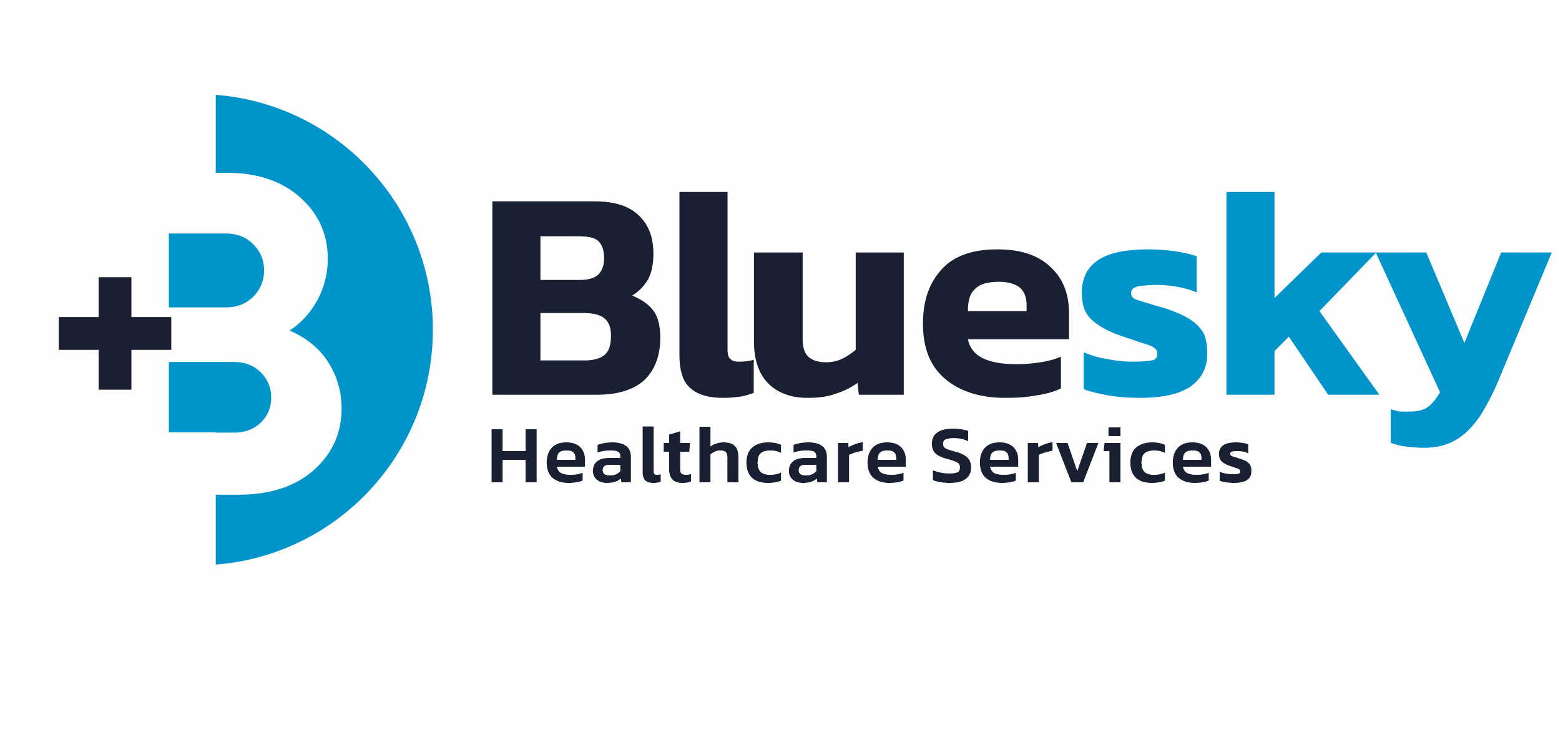 Blue Sky Healthcare Services